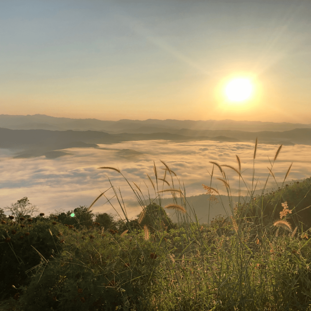 Les bienfaits du matin