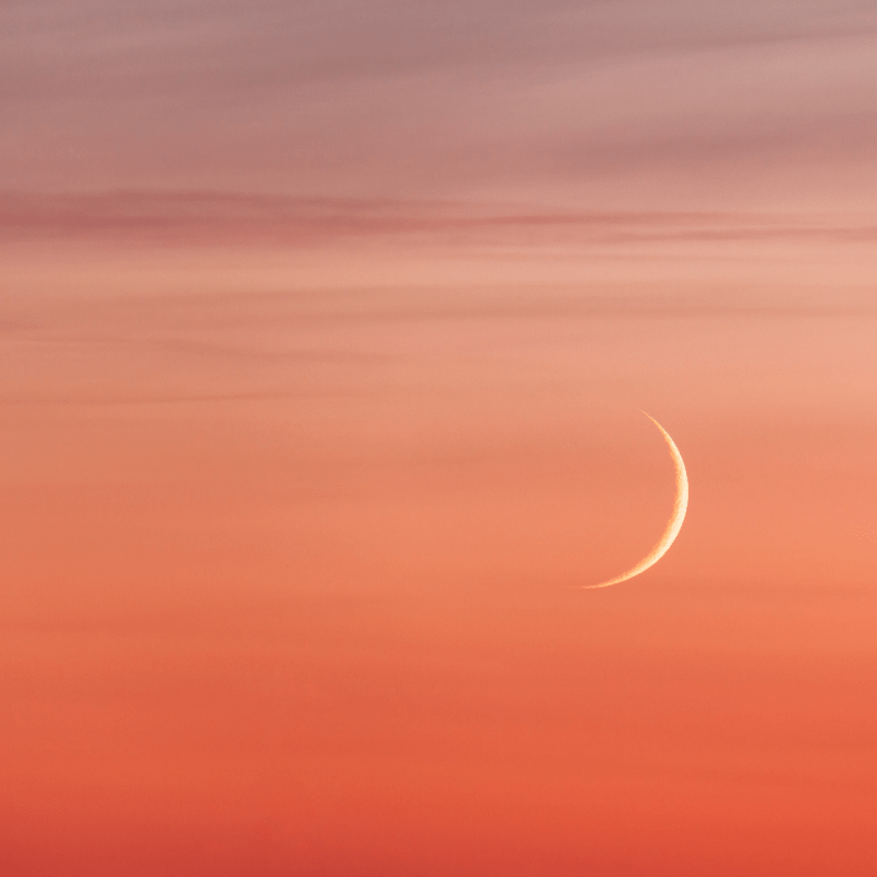 Un cancer du sang à 20&nbsp;ans