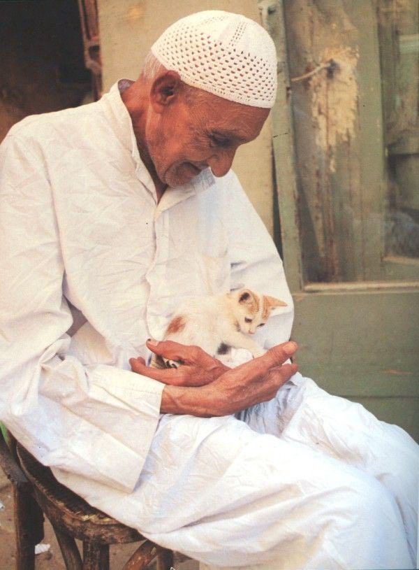 Une épreuve silencieuse : notre comportement envers les animaux