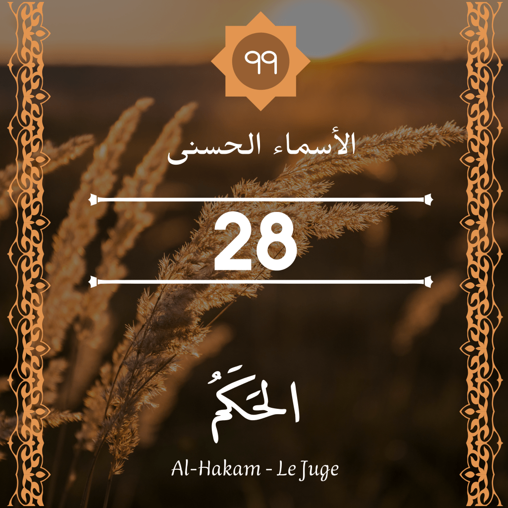 Article sans titre 2644