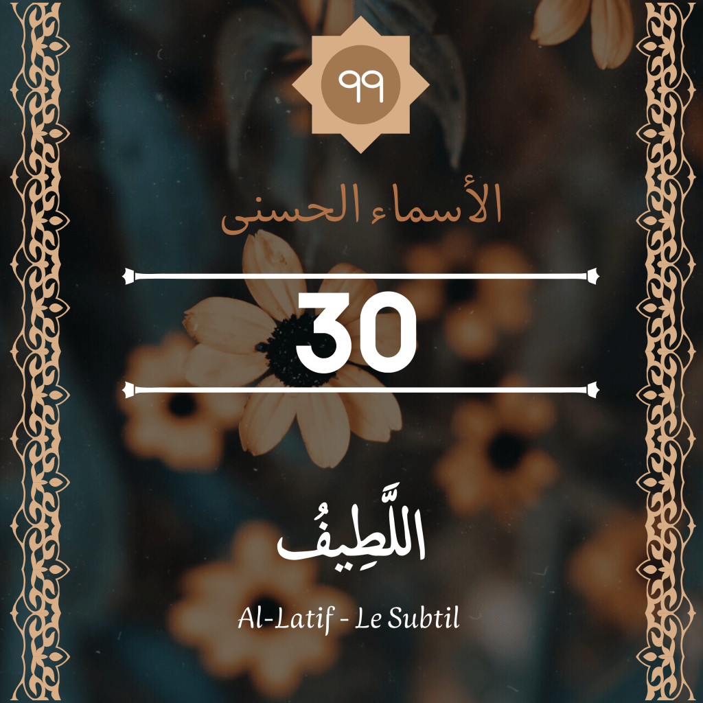 Article sans titre 2659