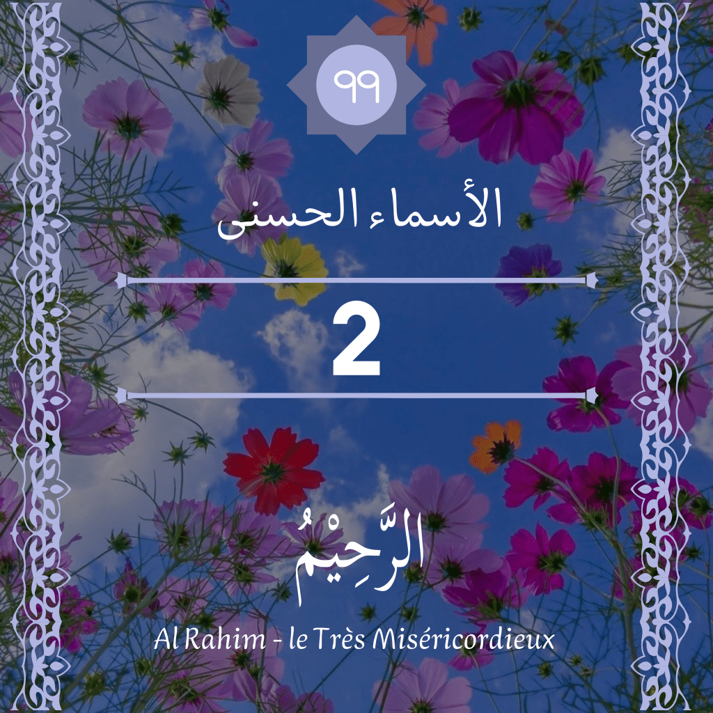 Article sans titre 2451